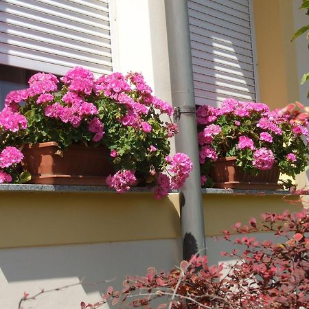 Apartment Revesz Harkany Exterior photo